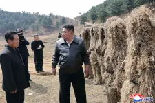 Órákra lehalt az észak-koreai internet