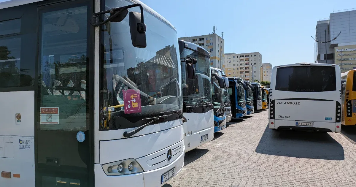 Vitézy Dávid: Igazi kuriózum az egy nap késéssel érkező pótlóbusz