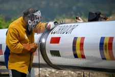 Aszfaltkirályok, barkácsmilliárdosok és energiagigászok: ők nyerték a 2024-es román gazdasági versenyt