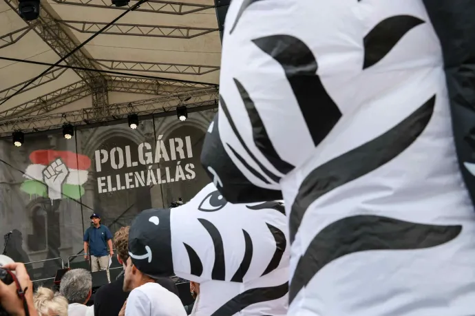 Csató Adorján Funktasztikus – Fotó: Melegh Noémi Napsugár / Telex