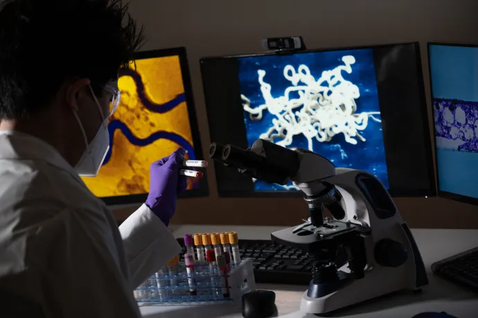 Tíz év alatt megduplázódott a szifilisszel diagnosztizáltak száma itthon