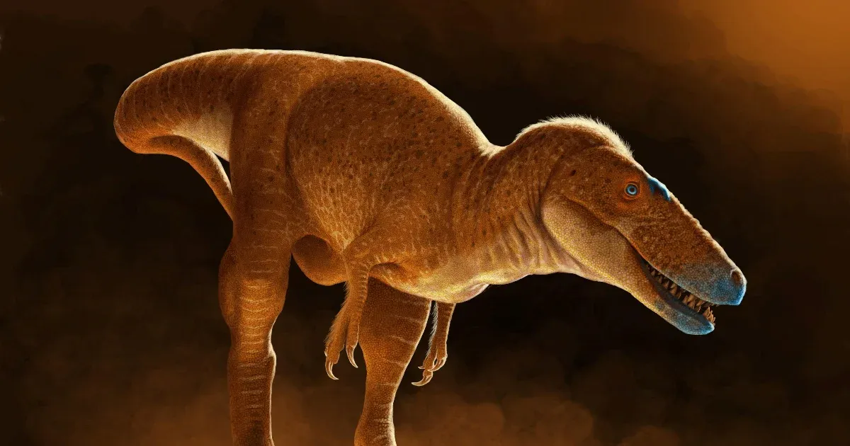 A T. rex most azonosított őse hozzá képest kispályás volt, de annál szebb nevet kapott