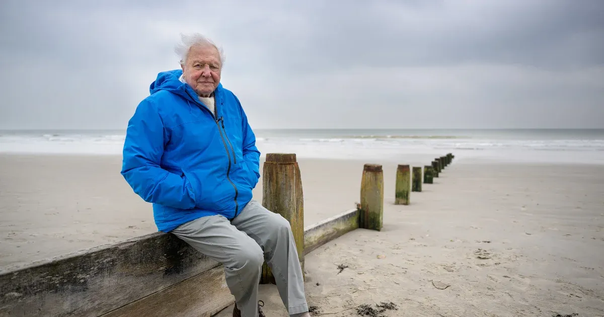 A 99 éves David Attenborough megmutatja, hogyan tesszük tönkre a bölcsőt, ami ringatott minket