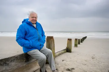 A 99 éves David Attenborough megmutatja, hogyan tesszük tönkre a bölcsőt, ami ringatott minket