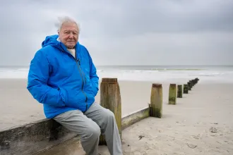 A 99 éves David Attenborough megmutatja, hogyan tesszük tönkre a bölcsőt, ami ringatott minket