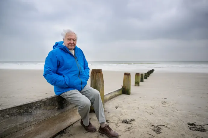 A 99 éves David Attenborough megmutatja, hogyan tesszük tönkre a bölcsőt, ami ringatott minket