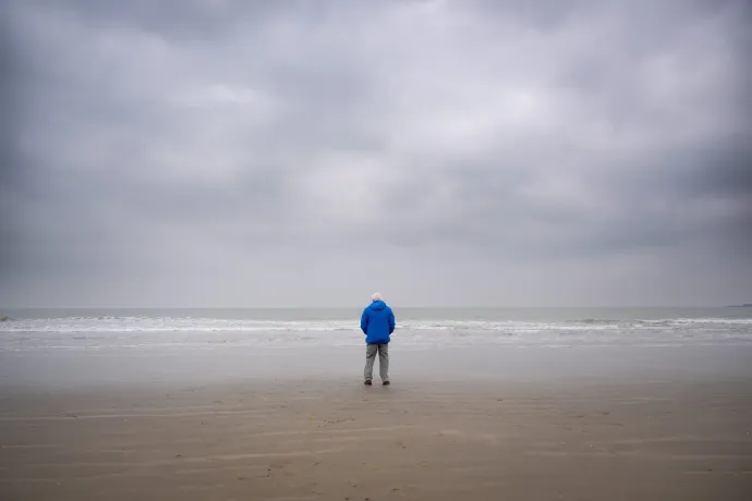 Fotó: Conor McDonnell / Silverback Films / Open Planet Studios