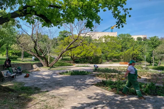 Kertészek a park gondozásán dolgoznak a Tabánban, ahol Főkert esőkertek és minierdők létrehozásával, valamint mulcsolással küzdenek a klímaváltozás okozta csapadékhiány ellen – Fotó: Thüringer Barbara / Telex