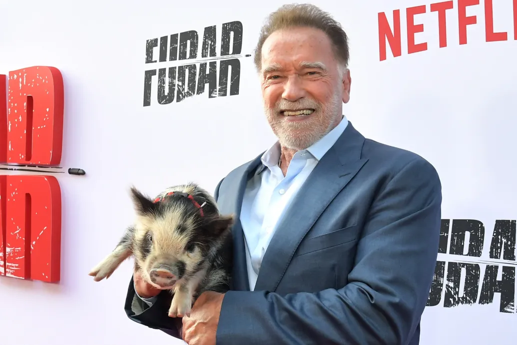 Arnold Schwarzenegger a törpemalacával érkezett a sorozata premierjére