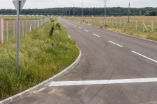 A magyar gazdaság rémisztő adatáról, amelyik zuhan, mint a kő