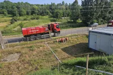 Maros megyei prefektúra: A Kis-Küküllő sószennyezése miatt veszélyben az ivóvízellátás, az elpusztult halakat összegyűjtik
