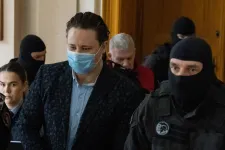 Schadlék végrehajtó irodái összesen 140 milliós profitot termeltek