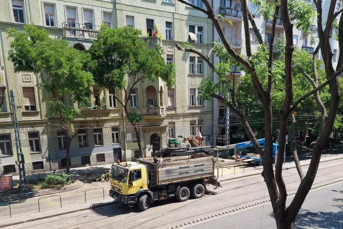 Fakivágás és lombritkítás a kánikulában: kellemetlen, de szakmailag megalapozott