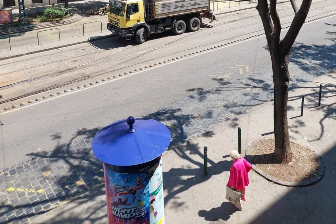 Fakivágás és lombritkítás a kánikulában: kellemetlen, de szakmailag megalapozott