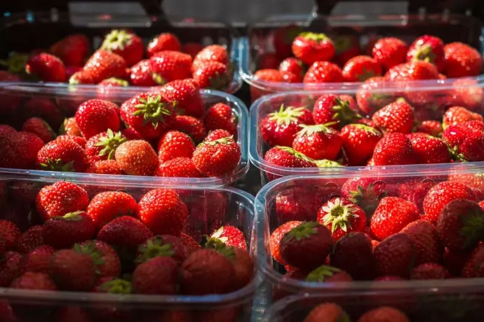 Román epret próbáltak lajosmizseinek eladni