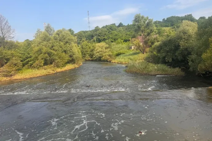 Újabb beszakadások voltak a parajdi bányánál, és már a hódok is pusztulnak, nemcsak a halak
