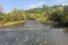 Újabb beszakadások voltak a parajdi bányánál, és már a hódok is pusztulnak, nemcsak a halak