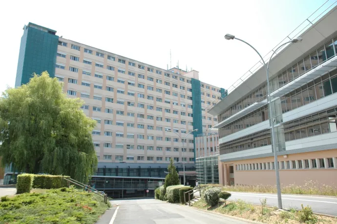 Többen súlyos ételmérgezést kaptak Franciaországban, egy 12 éves lány meghalt