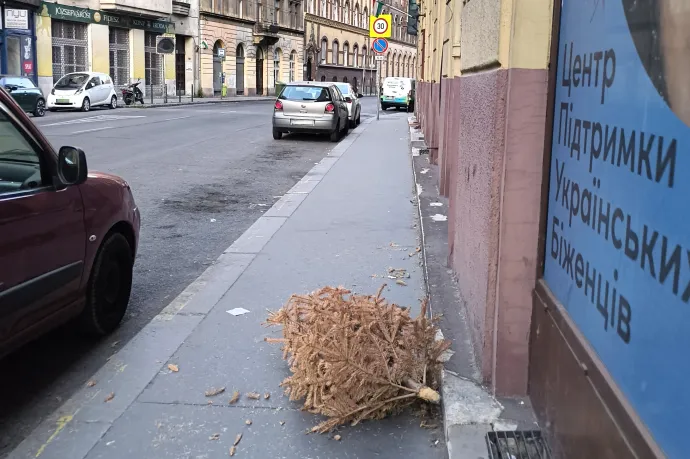 Fotó: Olvasói fotó / Telex