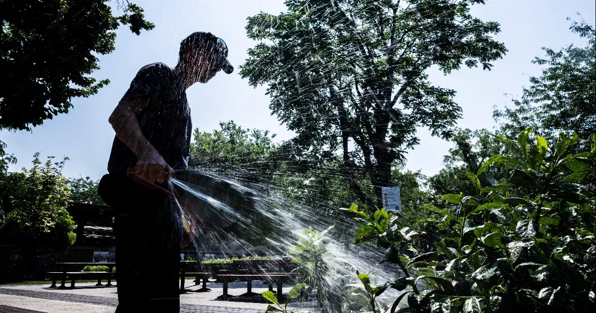 Veszélyben a biztonságos ivóvízellátás, tilos az esti locsolás Érden, Tárnokon, Törökbálinton is