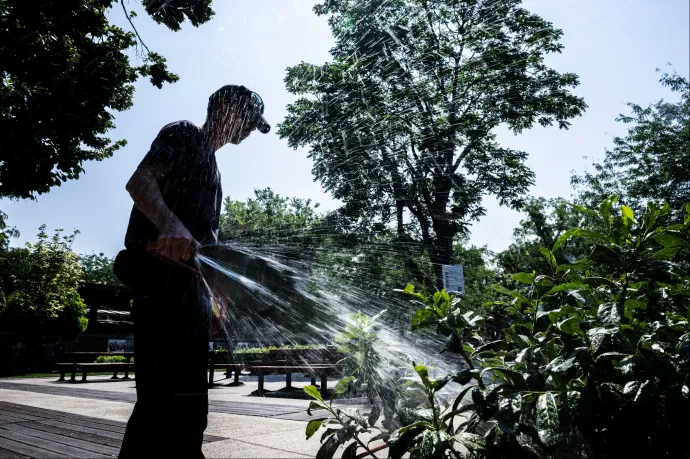 Veszélyben a biztonságos ivóvízellátás, tilos az esti locsolás Érden, Tárnokon, Törökbálinton is