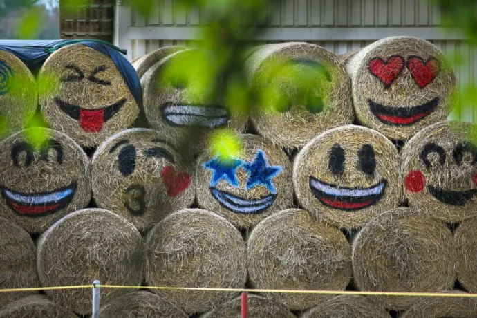 Mosolygós fej a céges chatben – meddig vicces, és mikortól kínos az emojik használata a munkahelyen?