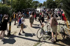 Elszakadt a felsővezeték, a győri fővonalon hosszabb közlekedésre kell számítani