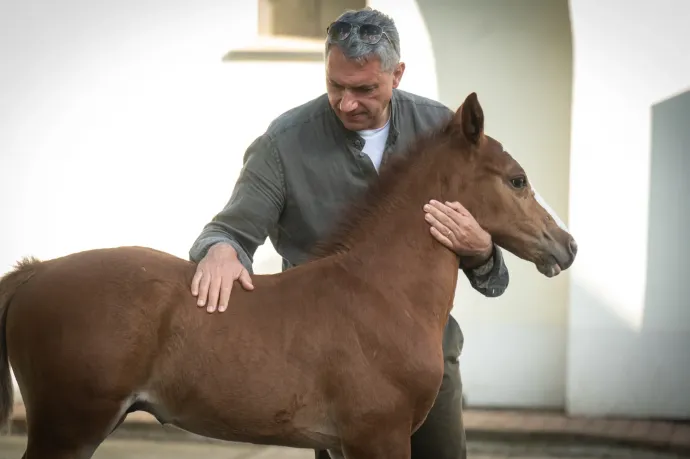 Lázár János alapítványa 4,5 milliárdot vett ki az ingyen kapott állami cégekből