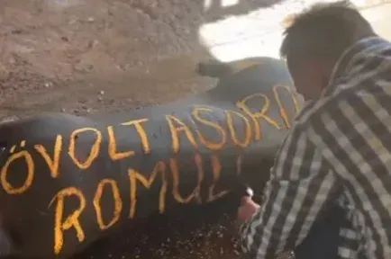 Pócs János ismét levágott disznóval kampányolt, most azt írta rá, hogy „ő volt a soros Romulusz”