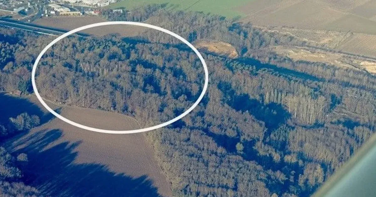 Tizenhárom évvel ezelőtti késelős gyilkossággal gyanúsítanak egy 55 éves férfit az NNI nyomozói
