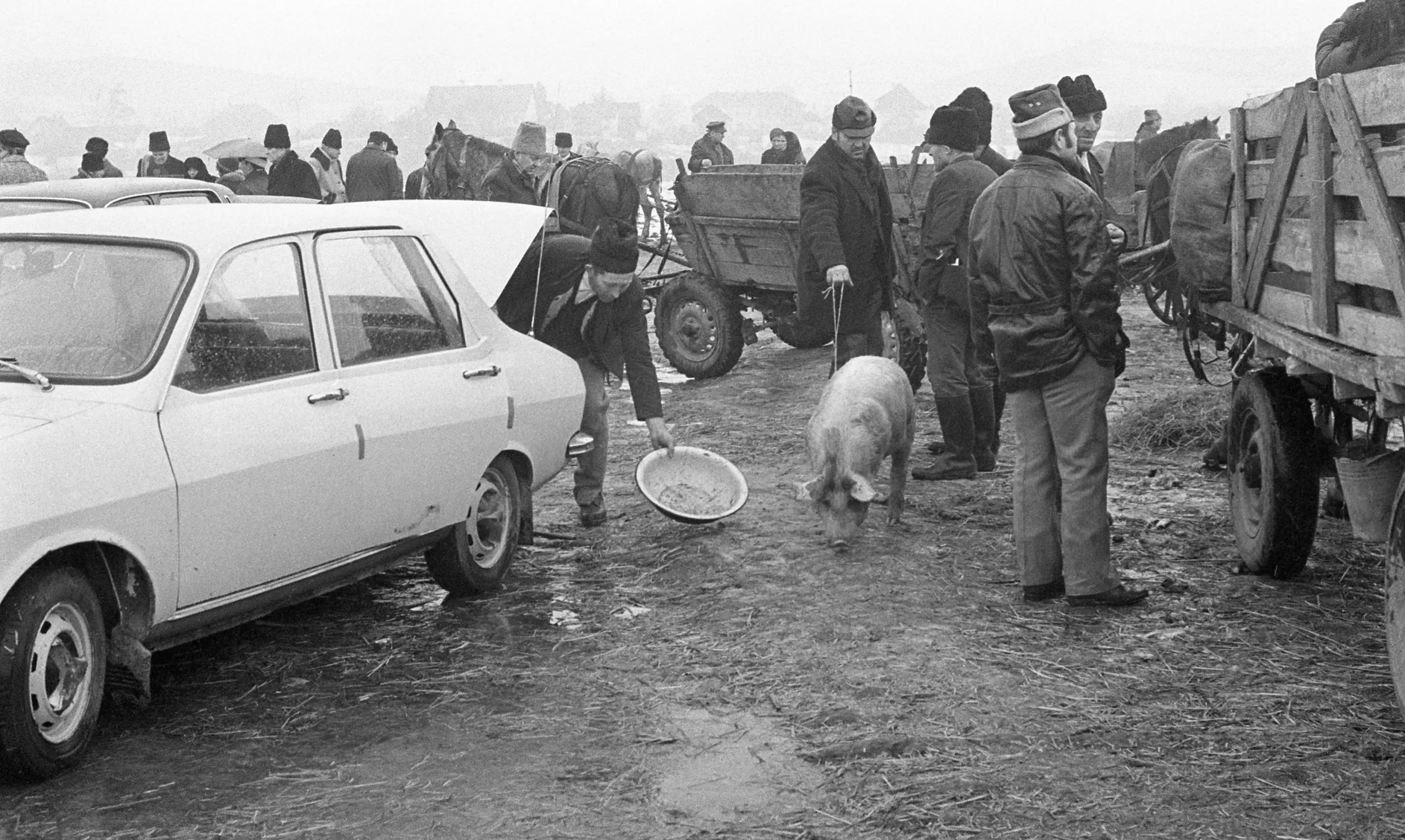 Élőállat-vásár, Marosvásárhely (?), 1977 – Fotó: Erdélyi Lajos / Blinken OSA Archívum