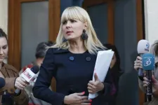 Fellebbezett a DNA Elena Udrea feltételes szabadlábra helyezése ellen