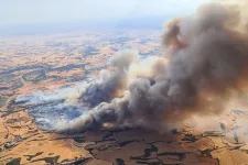 Két halálos áldozata van a spanyolországi hatalmas erdőtűznek