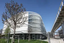 Kutyaszorítóba kerültek, és az isztambuli reptérről indított szavazáson döntötték el, hogy szerezzék vissza a 127 milliárdjukat