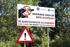 Bár a medvék etetése miatt bírságolhatnának a hatóságok, a valóságban alig büntetnek