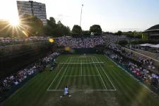 Besötétedett Fucsovicsék meccsén Wimbledonban, az ötödik szettet pénteken játsszák le