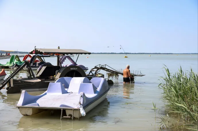Éveken belül mediterrán tóvá válhat a Balaton, ha nem teszünk ellene