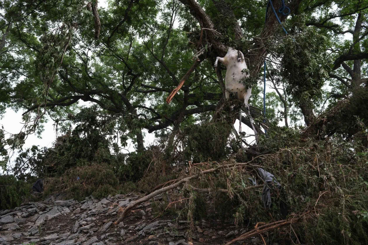 Fotó: Marco Bello; Sergio Flores / Reuters