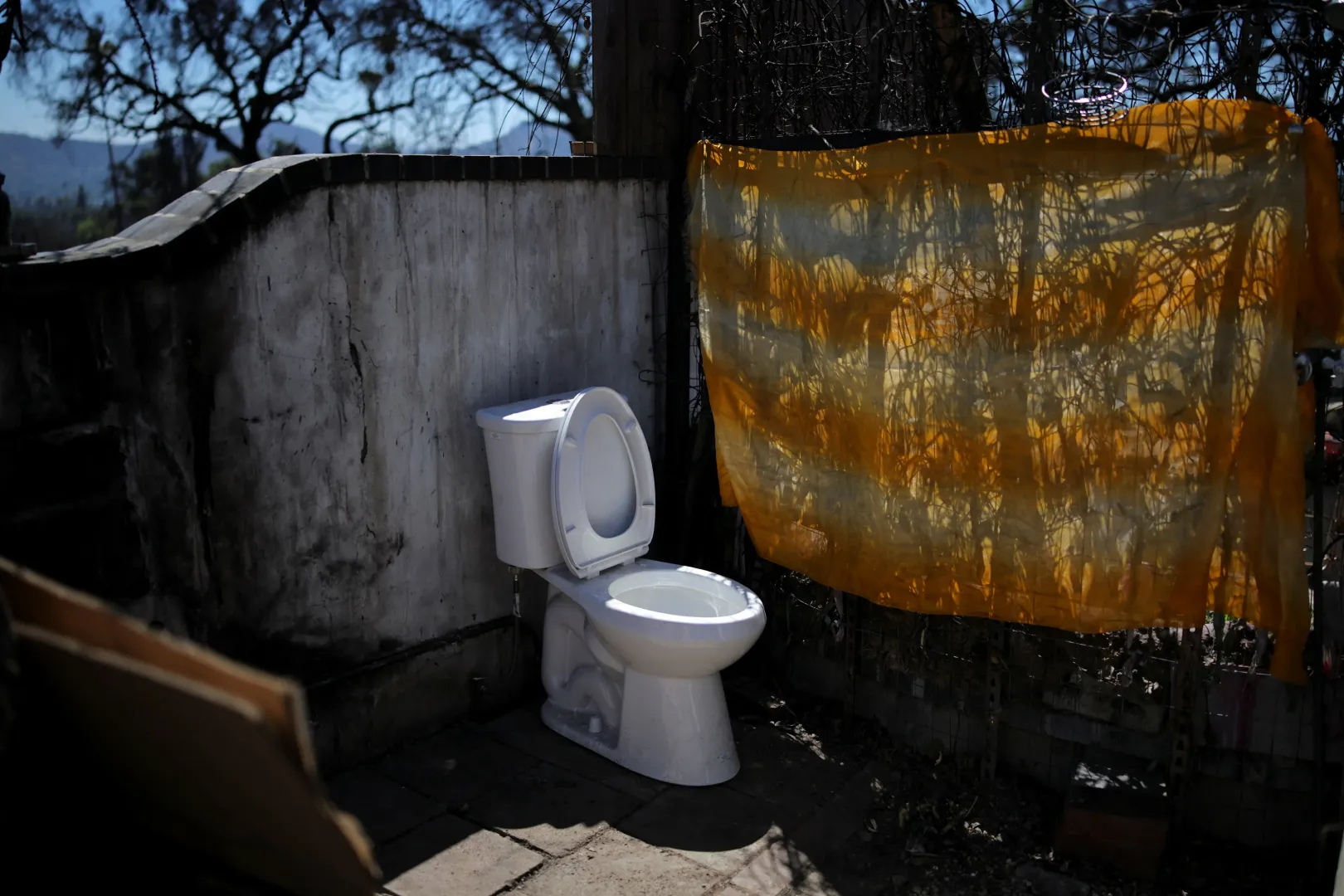 WC Marialyce Pedersen telkén – Fotó: Daniel Cole / Reuters