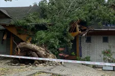 Huge thunderstorms wreak havoc throughout Hungary