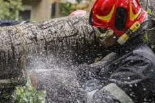 Tizenkilenc megyében pusztított a vihar, 81 településen keletkeztek károk