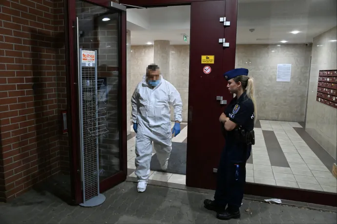 Vádat emeltek az angyalföldi gyilkos ellen, aki két éve különös kegyetlenséggel végzett a barátnőjével