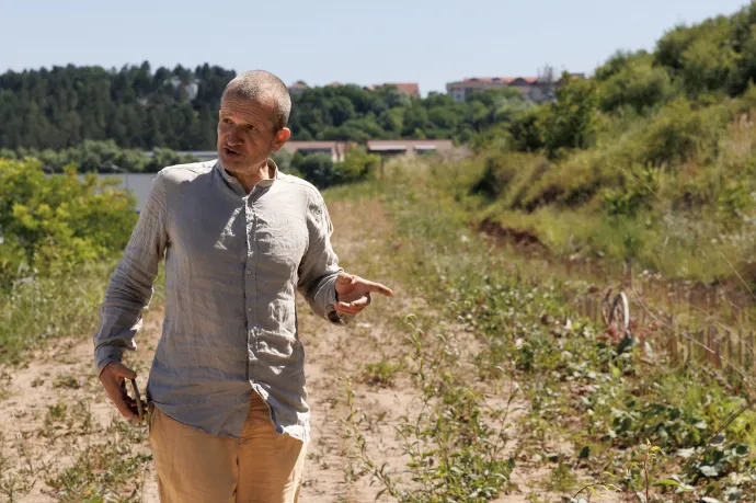 Azokat a betonrudakat anno nem azért rakták a földbe, hogy utána kivegyék onnan. Szakáts István szerint a 40 tonnás cölöpöket a gyakorlatban lehetetlen kihúzni – Fotó: Gozner Gertrud / Transtelex