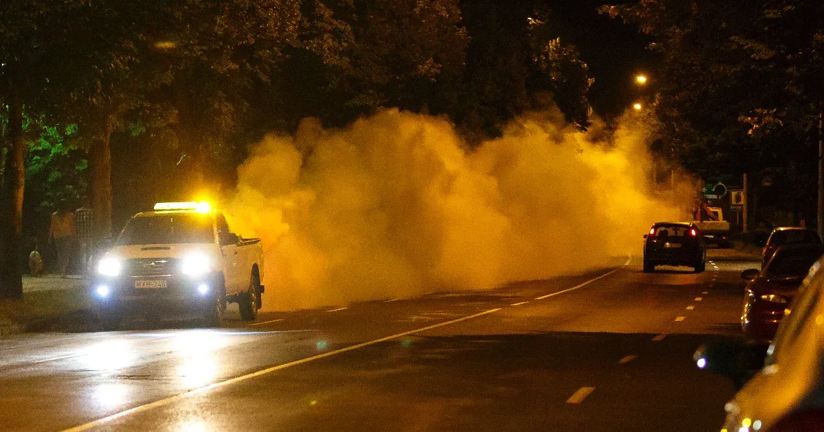 Fejlődési rendellenességet okozhat a szer, amivel a kémiai szúnyoggyérítést végzik itthon