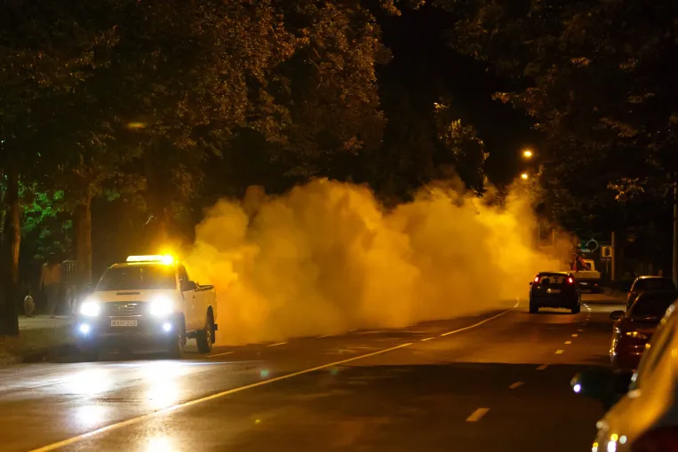 Fejlődési rendellenességet okozhat a szer, amivel a kémiai szúnyoggyérítést végzik itthon