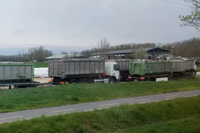 Teherautók sora a száj- és körömfájás miatt felszámolt darnózseli telep előtt, 2025. április 8-án – Fotó: Cséfalvay Attila / Telex