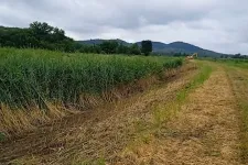 A vízügyi főigazgatóság szerint vigyáznak a védett állatok élőhelyeire a Zagyva kotrásánál