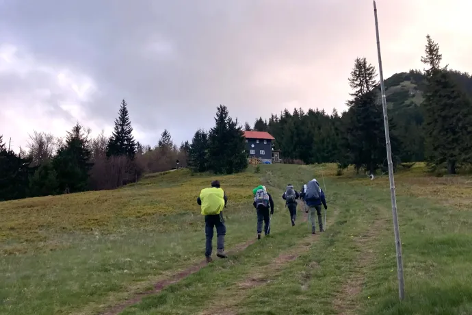 Gyephavas és birkanyáj a Chyzky-nyeregben, kilátás a Ploská oldalából, érkezés a Boriszov-menedékházhoz – Fotó: Gulyás Ádám / Telex, Horváth Rebecca