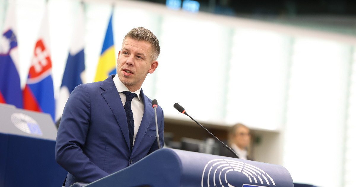 Négy ingatlan, festmények, 86 milliós megtakarítás – nyilvános Magyar Péter vagyonnyilatkozata