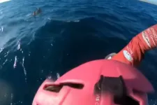 Két, vízbe sodródott magyar turistát mentett ki egy görög vitorlás Epanominál